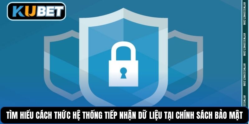 Tìm hiểu cách thức hệ thống tiếp nhận dữ liệu tại chính sách bảo mật